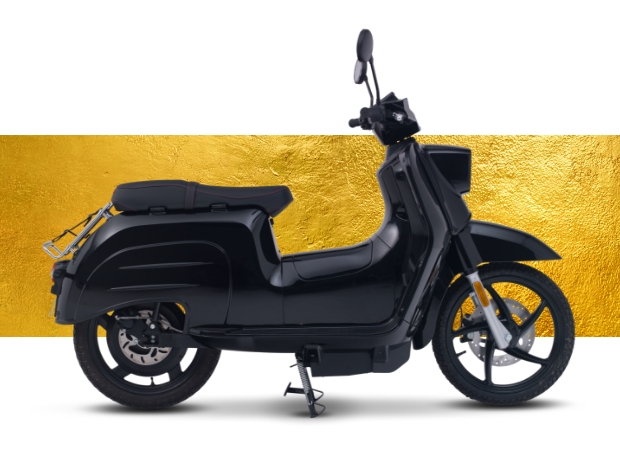 Schwarze Schwalbe vor Wand