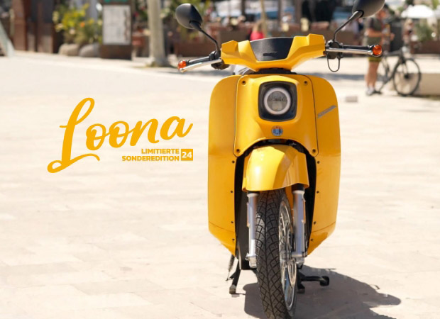 Schwalbe Loona von vorne am Strand